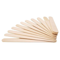 Premier Vendor Ice Cream Sticks
